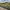 Passanger train passing through british countryside