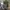 Image of glass window building with trees in front of it and people walking by
