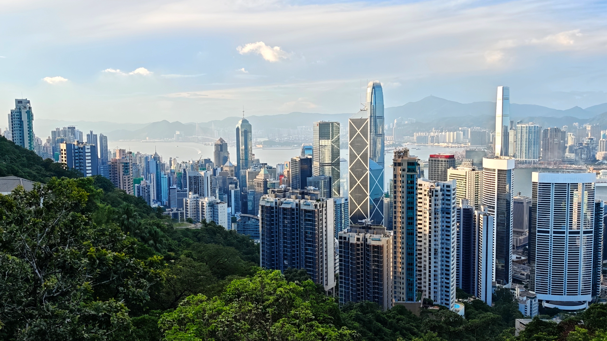 Hong Kong skyline with buildings in the background and greenery 